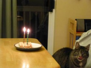 Bear the Boat Cat, Celebrating Hooked's 2nd Birthday