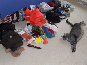 Bear the Boat Cat Helps Pack for Longlining