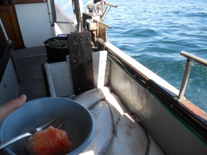 Handed a still-warm piece of pineapple upside-down cake, & told to take a break & enjoy it before cleaning the halibut? I love crewing on this boat. 